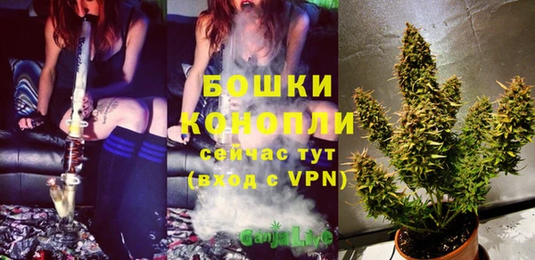 ПСИЛОЦИБИНОВЫЕ ГРИБЫ Белокуриха