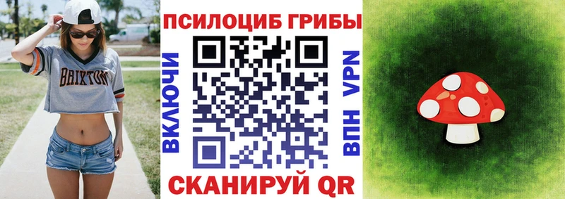 Псилоцибиновые грибы Cubensis  Салаир 
